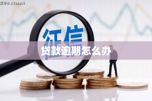邹平贷款逾期怎么办