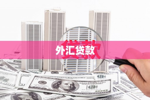 邹平外汇贷款