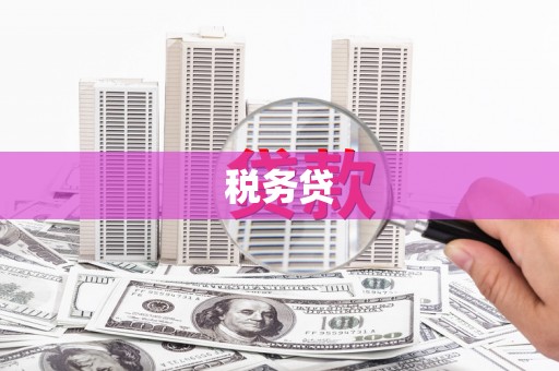 邹平税务贷