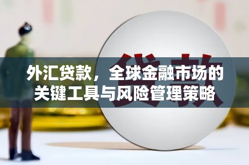 邹平外汇贷款，全球金融市场的关键工具与风险管理策略
