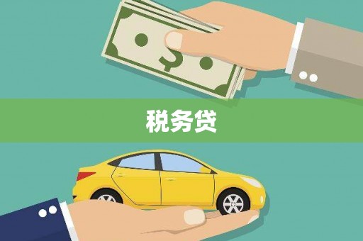 邹平税务贷