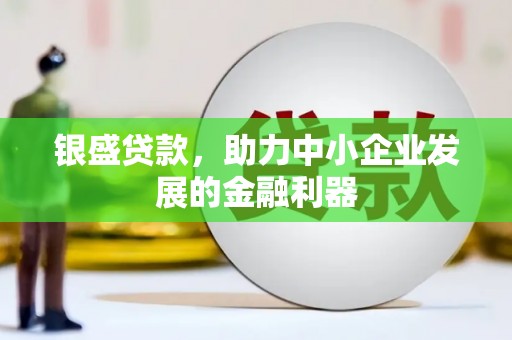邹平银盛贷款，助力中小企业发展的金融利器