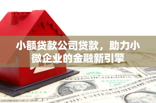 邹平小额贷款公司贷款，助力小微企业的金融新引擎