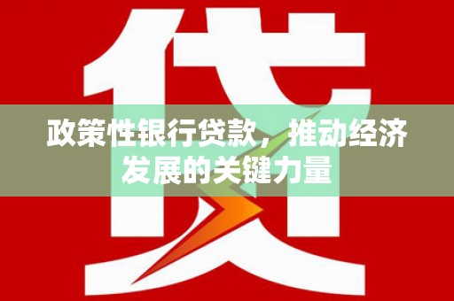 邹平政策性银行贷款，推动经济发展的关键力量