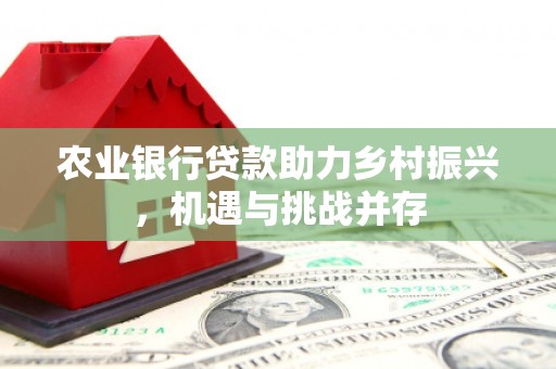 邹平农业银行贷款助力乡村振兴，机遇与挑战并存