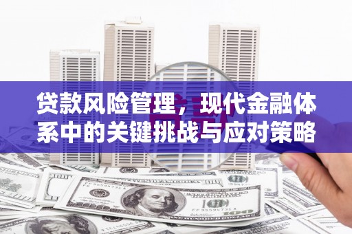 邹平贷款风险管理，现代金融体系中的关键挑战与应对策略