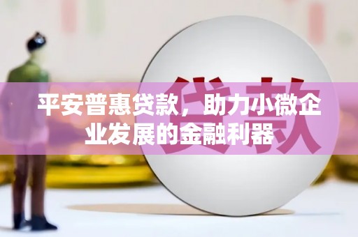 邹平平安普惠贷款，助力小微企业发展的金融利器