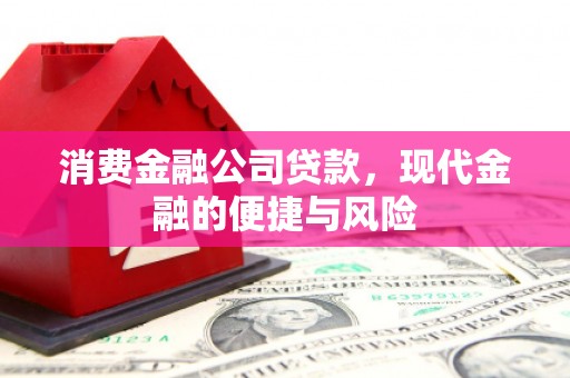 邹平消费金融公司贷款，现代金融的便捷与风险