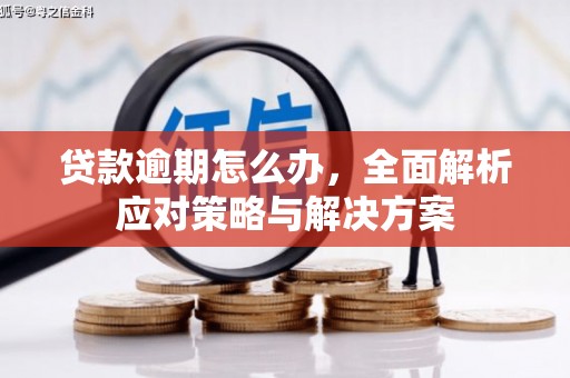 邹平贷款逾期怎么办，全面解析应对策略与解决方案