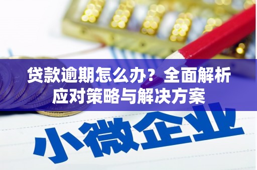 邹平贷款逾期怎么办？全面解析应对策略与解决方案